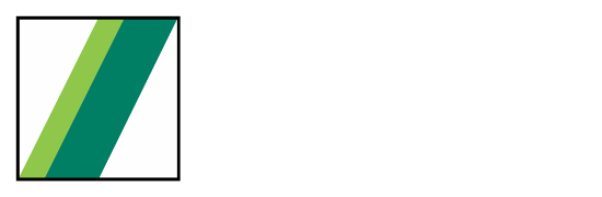 Schwing Stetter